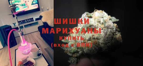 ПСИЛОЦИБИНОВЫЕ ГРИБЫ Арсеньев