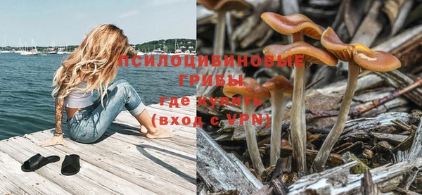 ПСИЛОЦИБИНОВЫЕ ГРИБЫ Арсеньев