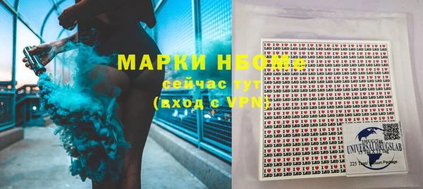 ПСИЛОЦИБИНОВЫЕ ГРИБЫ Арсеньев
