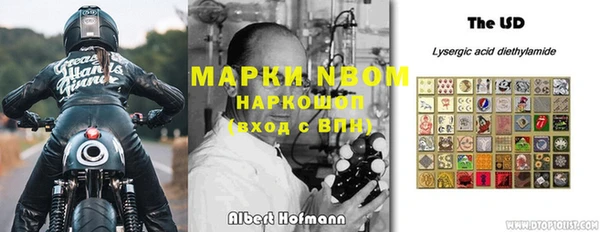 ПСИЛОЦИБИНОВЫЕ ГРИБЫ Арсеньев