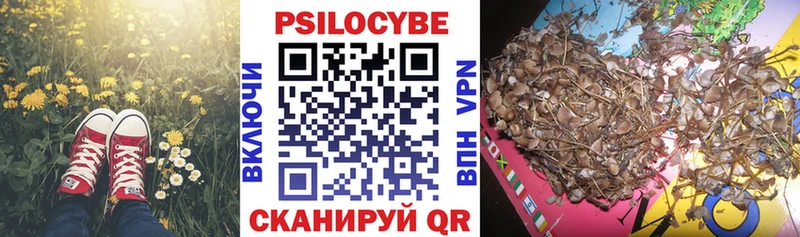 Псилоцибиновые грибы MAGIC MUSHROOMS  Электросталь 