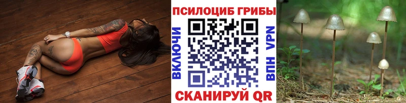 Галлюциногенные грибы мицелий Электросталь
